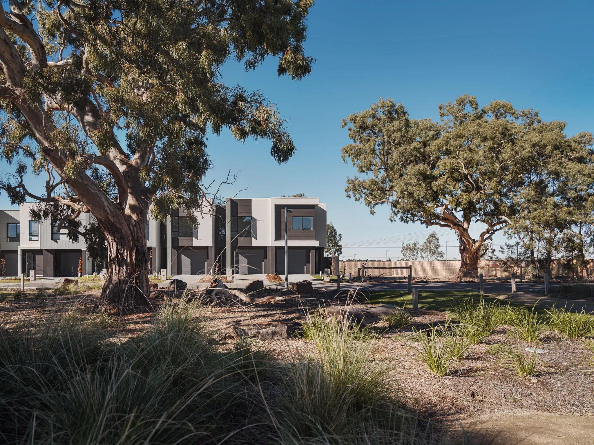 SFH The Crescent Sth Morang 091