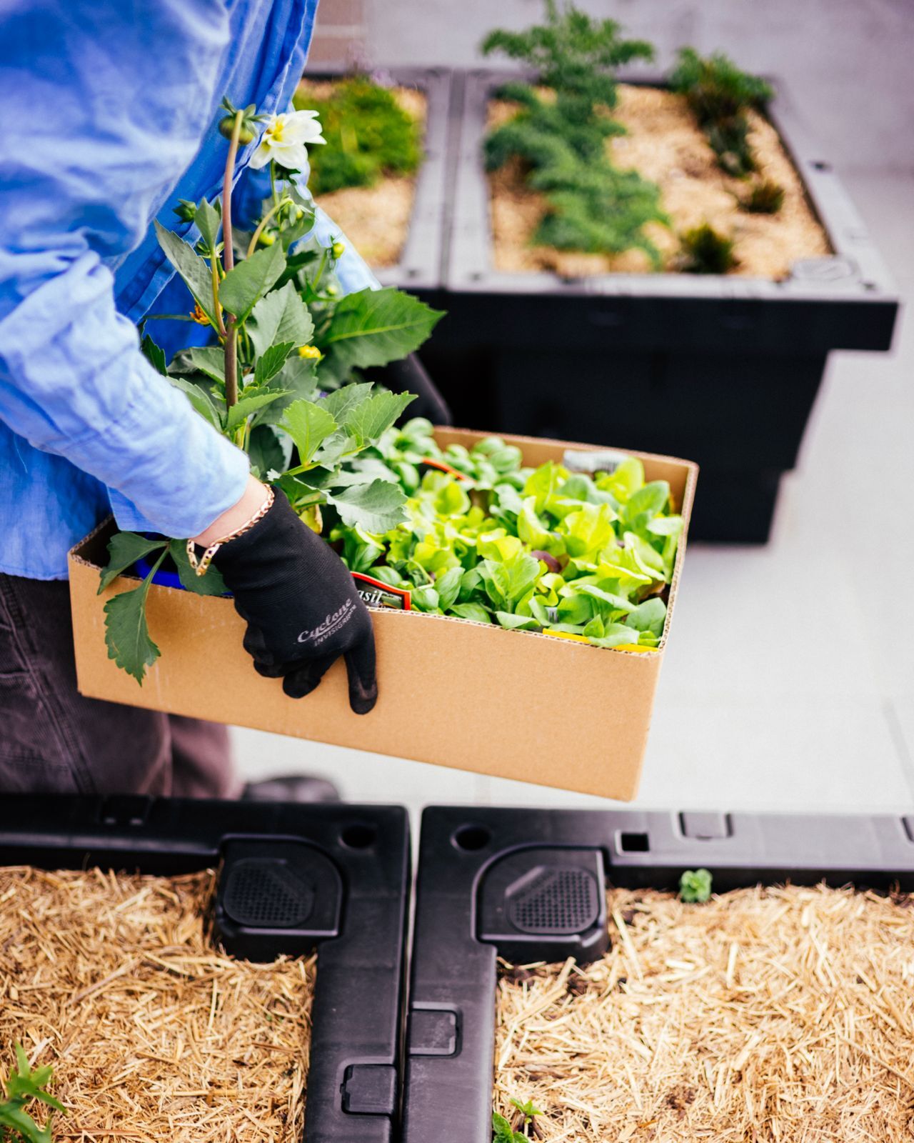 Whats App Image 2025 10 12 at 18 54 40 4